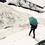 10895322_1524986754417617_977498460_a