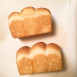 11875552_1653498598256909_2066480225_a