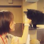 11327959_1607369682849613_478152497_a