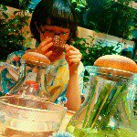 11325475_831706476924482_764351979_a