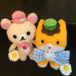 10727442_737330872982061_1159843668_a