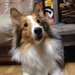 11821225_881614495207197_981309001_a