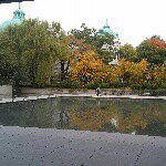 10899316_331964740321167_688049316_a