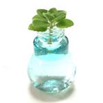 11351637_1039533239412843_1871716254_a