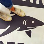 12120333_1487006198271350_2002262677_a