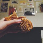 11017591_1547741322168823_278570022_a