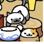 10723759_552884224863093_717186109_a