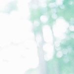 11849131_1459183647744109_906322278_a