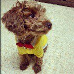 10919377_1982329905239261_1789964248_a