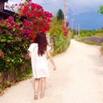 11262889_405322946345491_1702031082_a