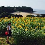 11809729_1478452649145068_1330687918_a