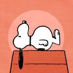 11325921_877889722288110_482692185_a