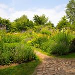 928950_513143118836977_1293465544_a