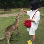 11910000_1142082742472487_773894390_a