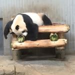 1389993_1619847781591232_9024330_a