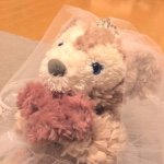 10838619_762658063771313_1328718774_a