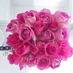 11375867_523956514427795_1718344825_a