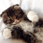 928288_1444353329167722_271371273_a