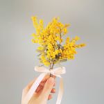 11887047_1629003470708125_2086815516_a