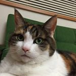 11820641_1639000589691589_1938607135_a