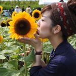 11420877_483159135192020_561774787_a