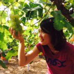 10724984_1558527324367030_631349082_a