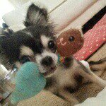 10844137_1527676134159196_622571228_a