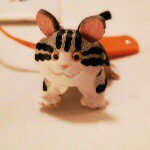 10948894_650382331740607_592399098_a