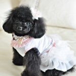 10375698_395348140659605_2087684248_a