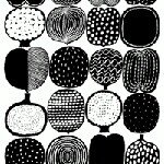 11312556_1613160798957726_1239788389_a