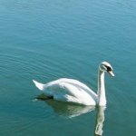 12142193_907954789270693_647857590_a