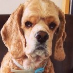 10453984_1396530893969308_2012173222_a