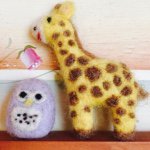 10919697_1620533944836301_936958936_a