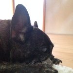 10598199_248797825330897_1922794044_a