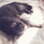 11189946_675568425913360_689061583_a