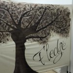 10955272_876113762411207_304618421_a