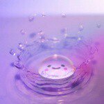 11142295_444176269083291_76753115_a