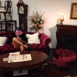 10475212_397284353753379_916175928_a