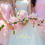 11887038_115303362153983_1448120416_a