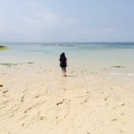 11111281_654279328006755_1960513851_a