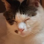 12093663_1041059632594747_1325173807_a