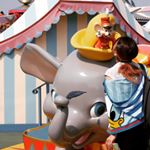 11363648_1660743967501970_1662022977_a