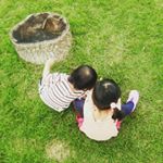 11849435_1504816936495017_1980409318_a