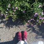 12139802_1649121478663979_433042207_a