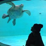 11909938_518349728334562_112010544_a