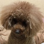 11377660_470613136448344_1982800775_a