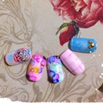 11821062_413036135559917_1796214962_a