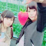 11023007_735831109870155_218263569_a