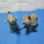 11849784_807339996050973_1199966145_a