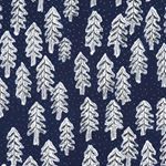 12145236_814646208646745_667539394_a